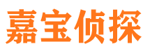 安阳市调查公司